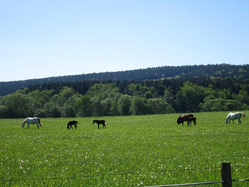 Böhmen (72).JPG